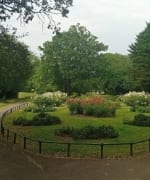 Burnt Oak Rose Garden